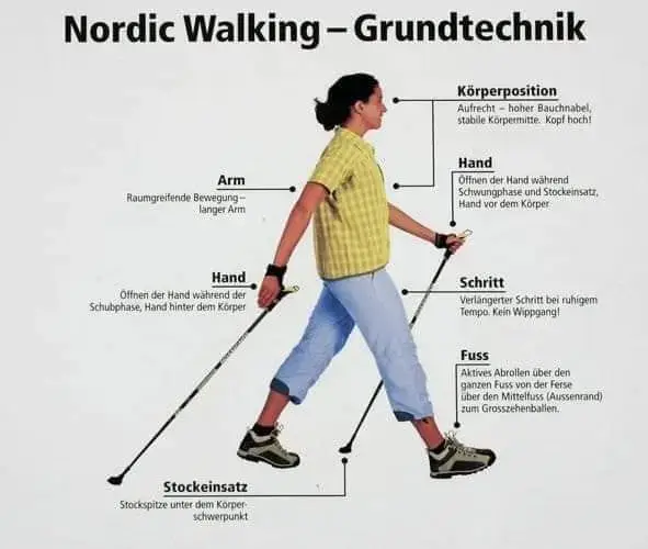 ARSU Sledi Me Nordijsko Hodanje Slika